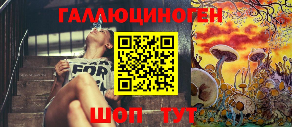Орехово-Зуево  Псилоцибиновые грибы Psilocybine cubensis  Вход с VPN 