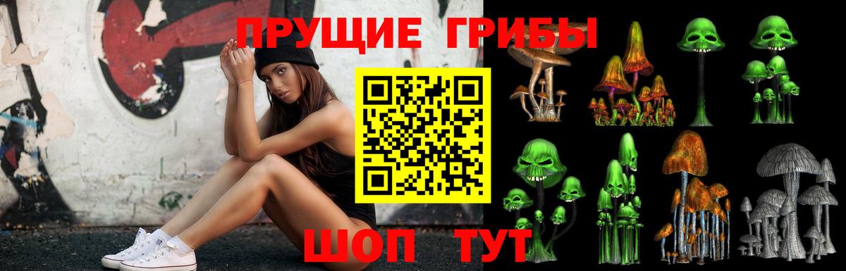 Псилоцибиновые грибы мицелий Орехово-Зуево